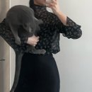 비디오일번지 | 유후~유후~ 🎵 승리를 외치자 ⚾️🧢