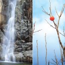 덕담민박 이미지