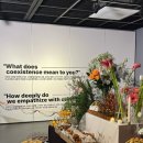 DIMA 아트센터 이미지