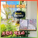 한독빌딩 | 창원상남동 블루리본 맛집 브런치 팩토리ㅣ블루리본 서베이 10관왕ㅣ25년 레드리본ㅣ 점심특선 후기