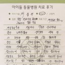 채플린동물병원 | 전주 내과 동물병원 - 13살 푸들 채플린