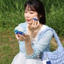 올리브영추천템 에이지투웨니스 나이스웨더 쿨링썬밤 AGE20’S 톤업 선쿠션 팩트