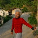 산장의 여인 이미지