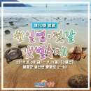 빛과갯벌-1 이미지