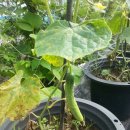 영세농장 이미지