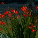 연수중학교 이미지