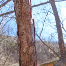 고모산성 주막 이미지