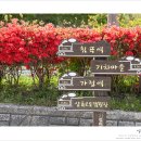 압록주유소 이미지