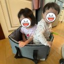 이마트24R거창수승대점 | 수승대체험휴양마을 103호 겨울에 다녀온 후기 (준비물, 대여물품 정보)