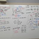 레티나영어과학전문학원