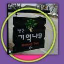 기억나무펜션 이미지
