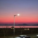 스타벅스 다대포비치점 이미지