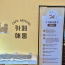 상상애몽 이미지