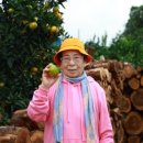 표선리-32 | 겨울의 제주도미니버스렌트 단독투어 가족여행은 더 맛있게 즐겁게 다녀요