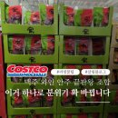 마리아니 | 술자리 퀄리티 확 올려주는 코스트코 안주 쇼핑 숨겨둔 꿀팁이라 아시는 순간 달라져요
