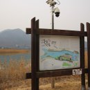 마산목물