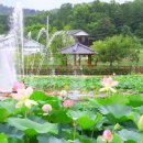봉양로-1 서울경제