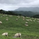 금학목장 이미지