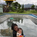 곡성-243 이미지