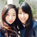 스시아리엔 이미지