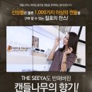 캔들나무 - 익산시 고봉로30길 14 | 캔들나무