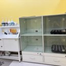 애견스케치 이미지