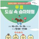 체험마루