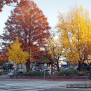 읍사무소앞 이미지