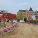 미송농장 이미지