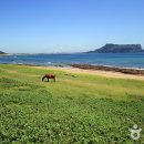 해변 - 용인시 수지구 수지로 70-1 | 해변