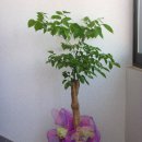 상신상사 이미지