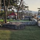 보령애견동반펜션 피노비스타 이미지