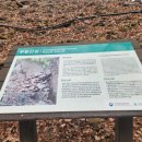 주왕암입구 이미지