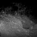 CW-1300-01 이미지