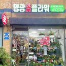 꽃집 이미지
