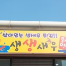 생생새우 이미지