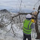 (주)경북정비 이미지