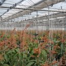 고정농장 이미지