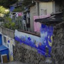 개미환경자원 이미지