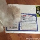 미스터토리