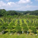 한수목장 이미지