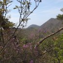 송정주차장 이미지