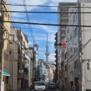 (주)벽승 명성사우나 | 11월의 도쿄에는 낭만이 있다 / 5일차 (1일 2사우나)