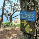 한아름 사슴 농장 이미지