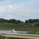 운남1교 이미지