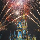 행복한 꿈 이미지