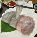 세꼬시초장 이미지