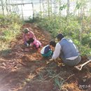 기훈농장 이미지