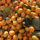 태평떡방앗간 이미지