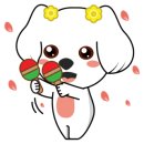 와이즈 동물병원 이미지